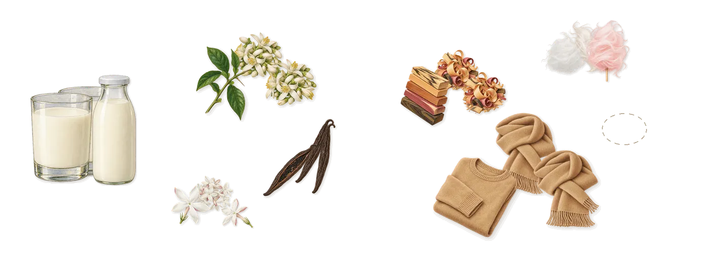 Vanilla Vice’s scent picture, a draft: ice cream, vanilla (vanillin), jasmine, woody notes, musk, sparkling sugar (ethyl maltol) drawn so far; dashed outlines where nothing is drawn yet