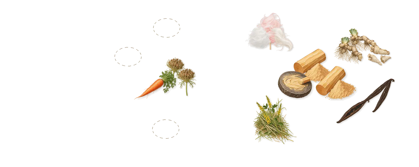 English Major’s scent picture, a draft: iris, spun sugar, carrot, sandalwood, vanilla (vanillin), coumarin (new-mown hay) drawn so far; dashed outlines where nothing is drawn yet