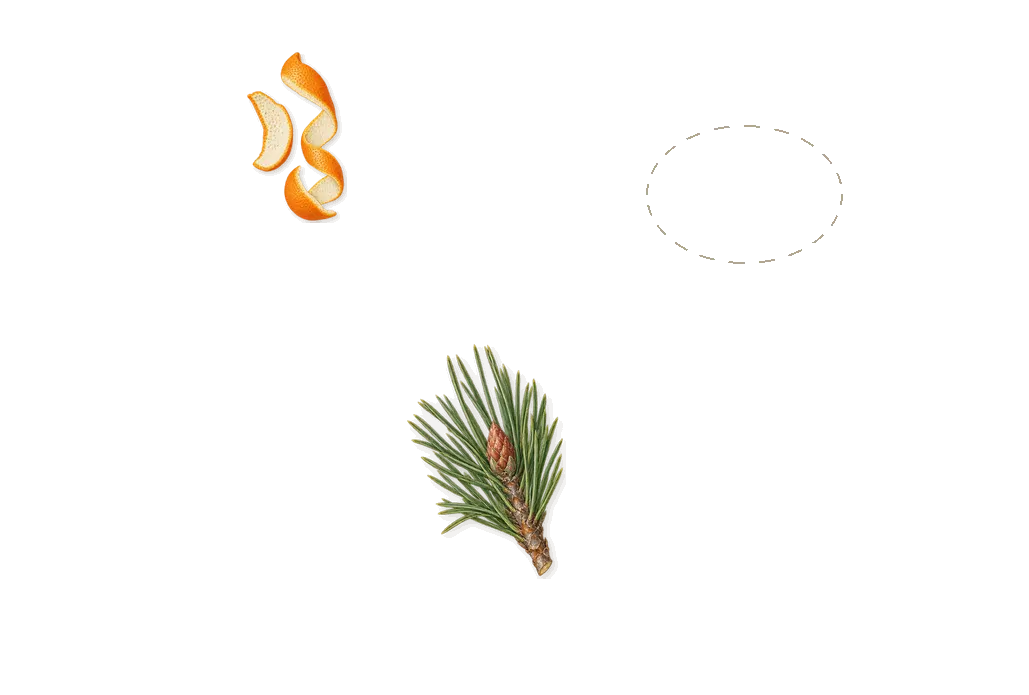 Ephemera, when you spray it: Fresh carved pumpkin, Limonene (orange peel), Pinene (pine needles)