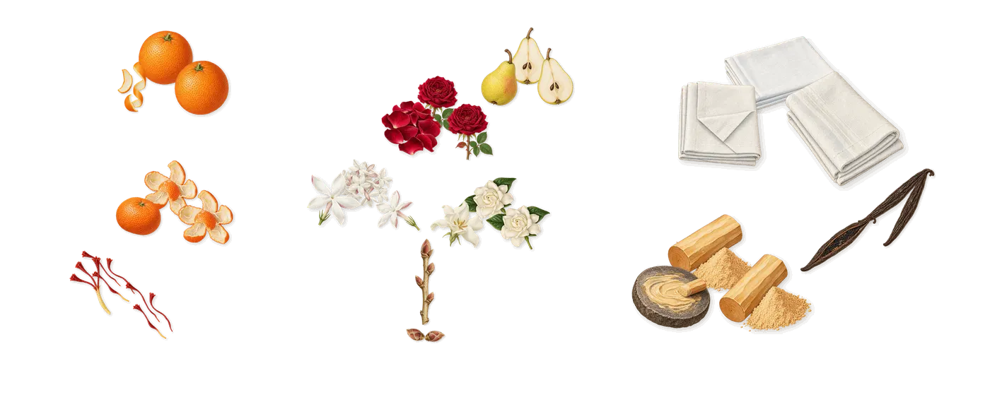 Dolce Melodia’s scent picture, a draft: mandarin, sweet orange, saffron, rose, jasmine, gardenia drawn so far; dashed outlines where nothing is drawn yet