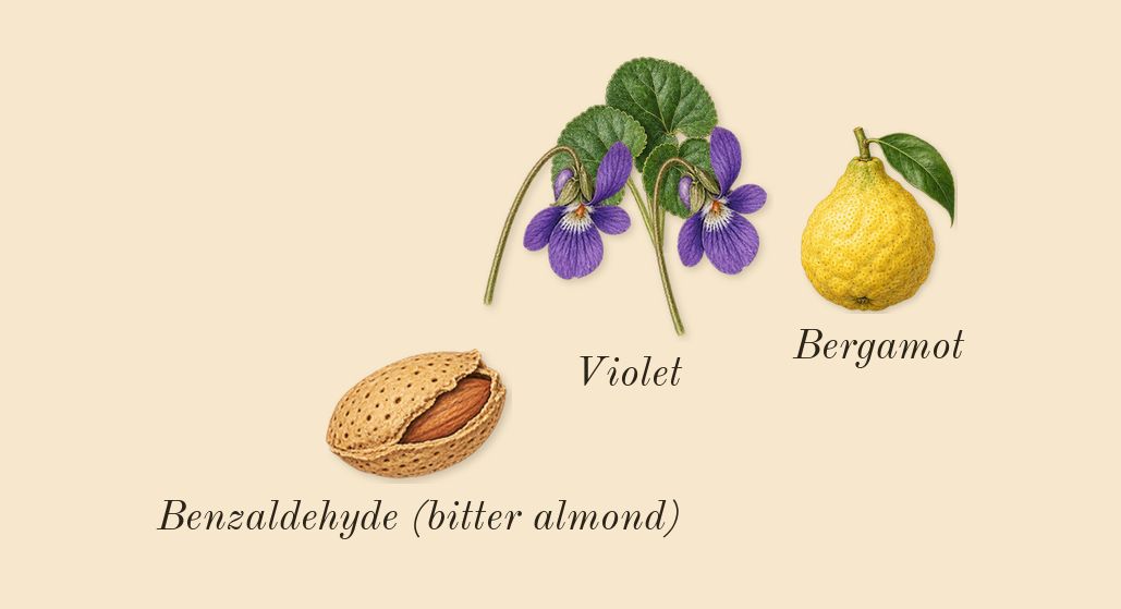 Suede Ibri, top notes: Violet, Bergamot, Benzaldehyde (bitter almond)