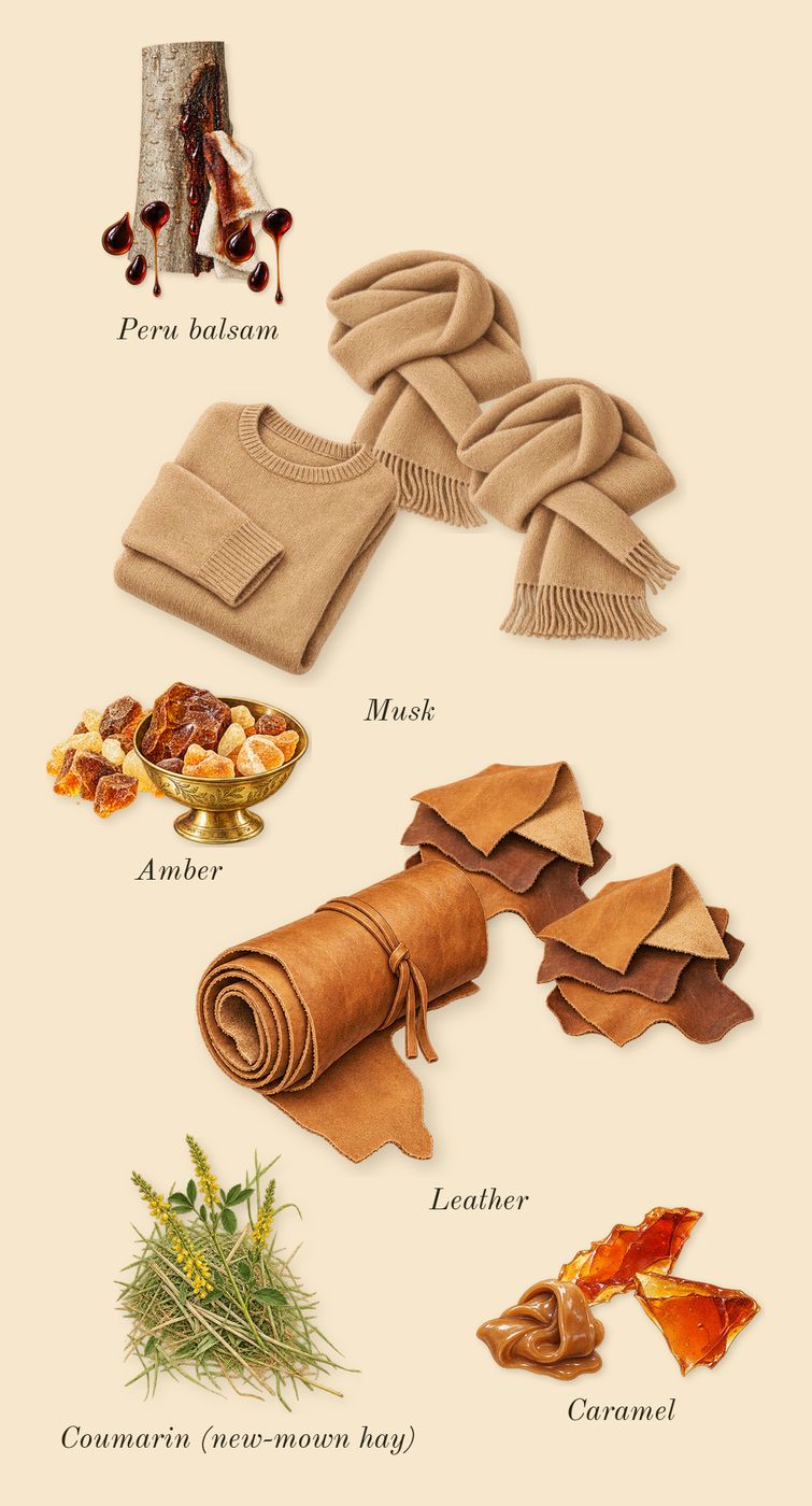 Casablanca, dry-down: Caramel, Amber, Peru balsam, Musk, Leather, Coumarin (new-mown hay)