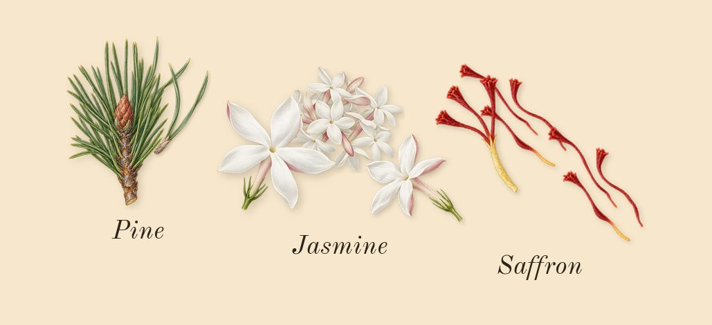 Gharaam, top notes: Jasmine, Saffron, Pine