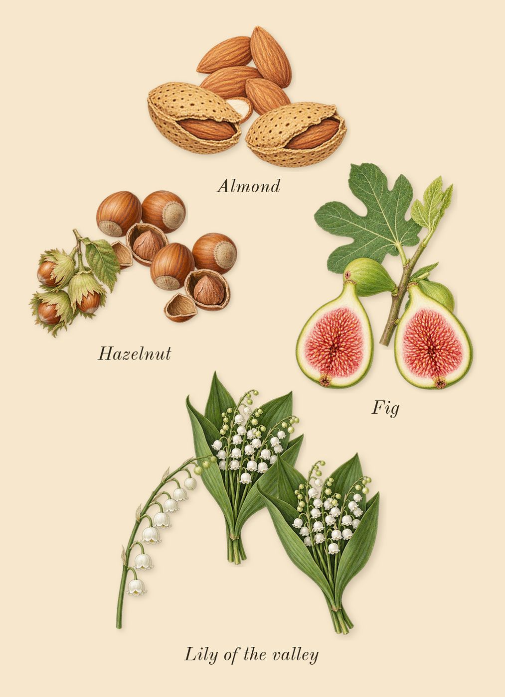 Incense 01, heart: Fig, Lily of the valley, Almond, Hazelnut