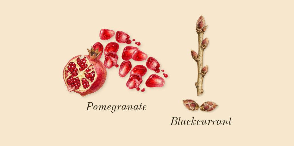 Musk 07, top notes: Pomegranate, Blackcurrant