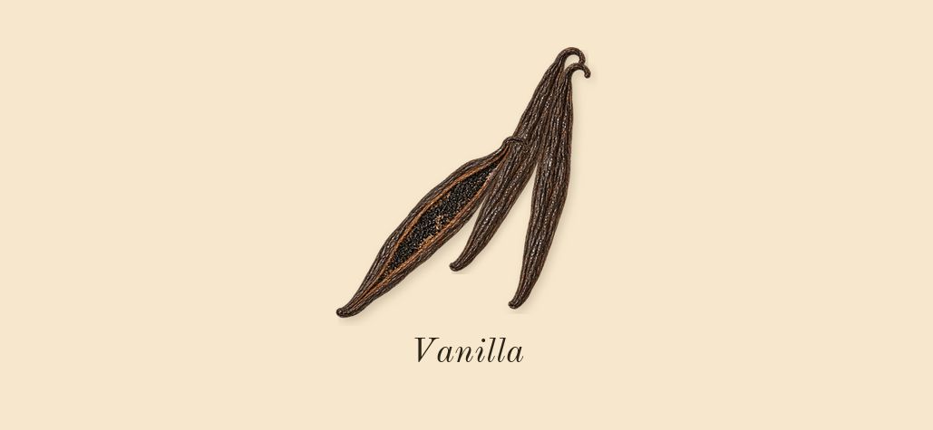 Shaghaf Oud, dry-down: Vanilla