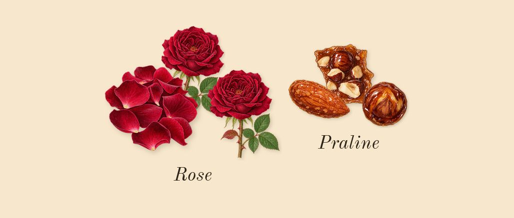 Shaghaf Oud, heart: Rose, Praline