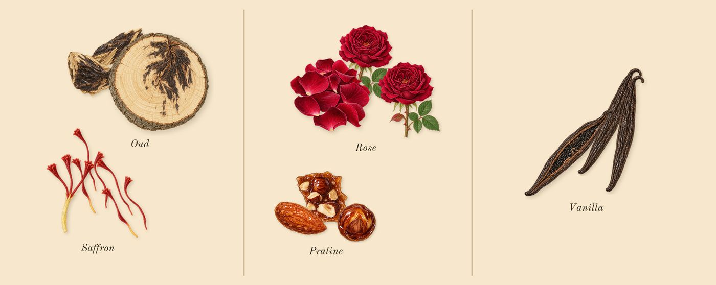 Shaghaf Oud’s scent picture, a draft: saffron, oud, rose, praline, vanilla drawn so far; dashed outlines where nothing is drawn yet