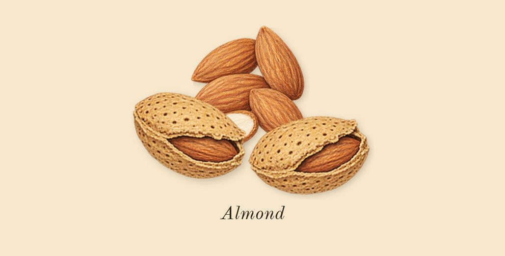 Shaghaf Oud Tonka, top notes: Almond