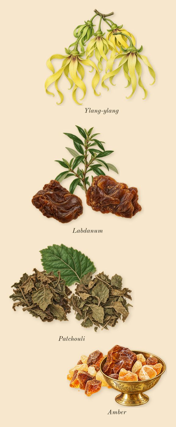Tobacco 01, heart: Labdanum, Amber, Ylang-ylang, Patchouli