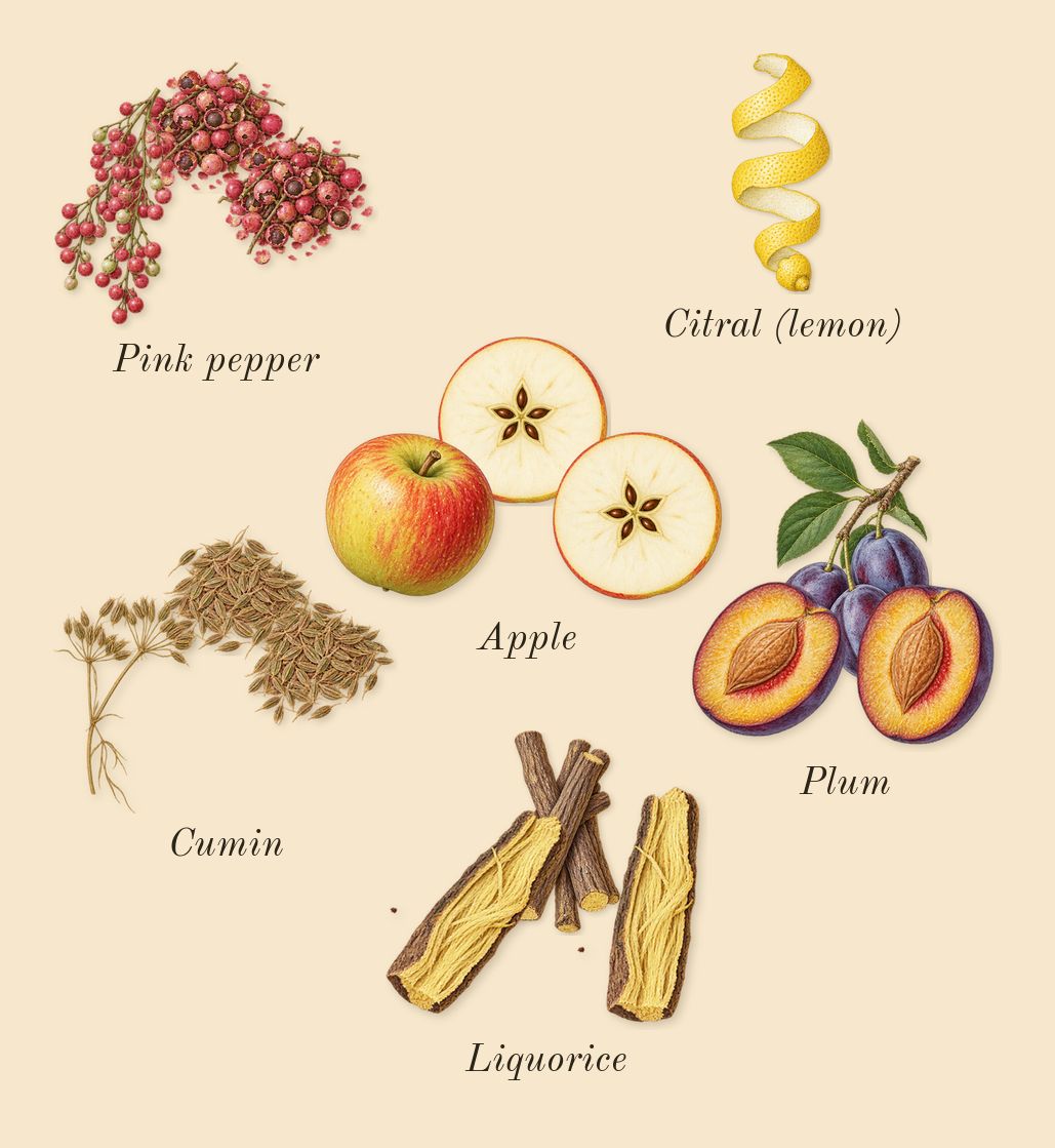 Tobacco 01, top notes: Plum, Apple, Cumin, Pink pepper, Liquorice, Citral (lemon)
