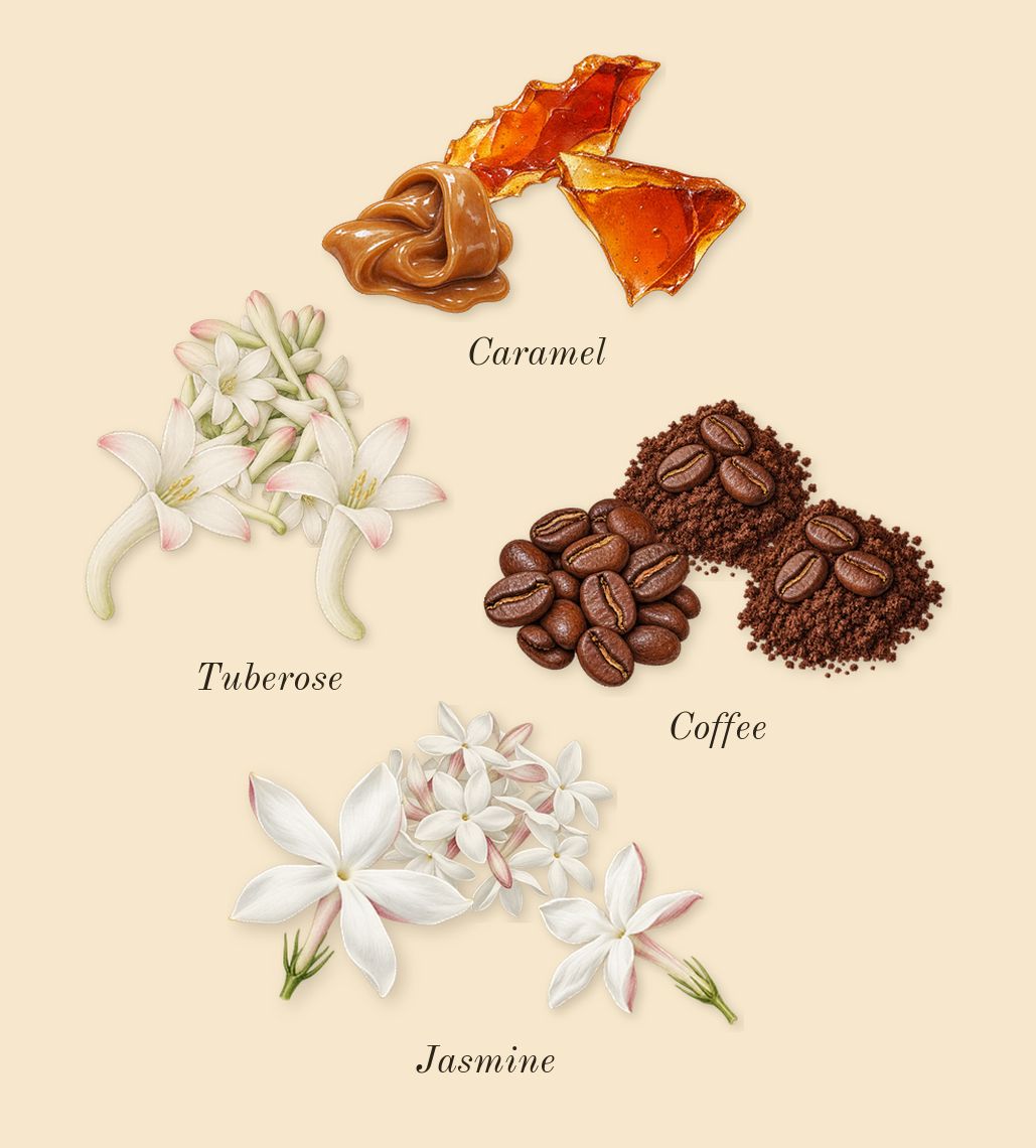 Vanilla 01, heart: Jasmine, Coffee, Caramel, Tuberose