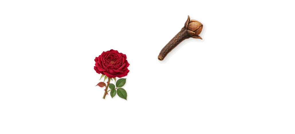 Original, as it settles: Geraniol (rose), Eugenol (clove)