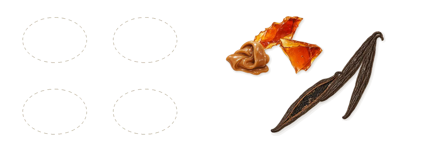 Fresa Nata’s scent picture, a draft: vanilla, caramel drawn so far; dashed outlines where nothing is drawn yet