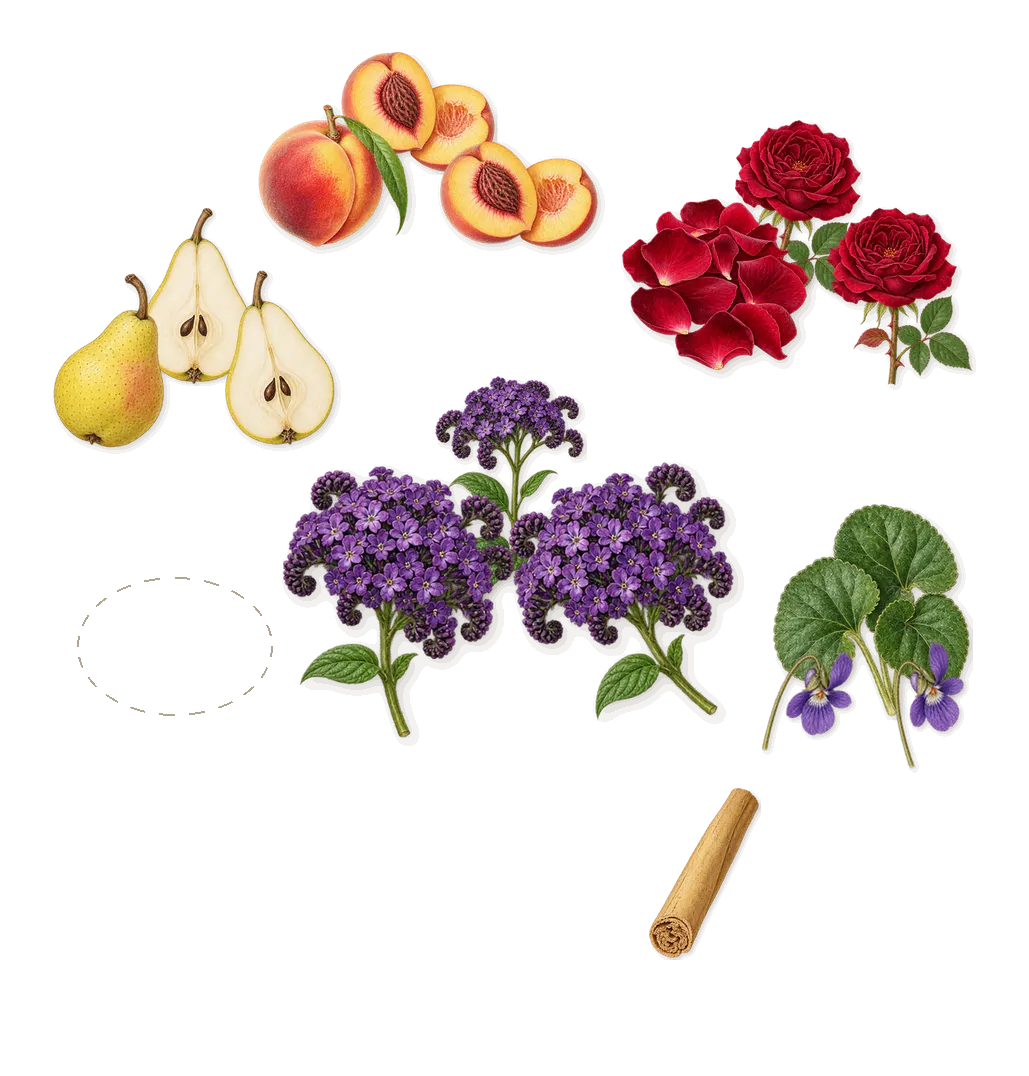 Andromeda, as it settles: Lilum, Violet, Rose, Pear, Heliotrope blanc, Peach, Cinnamal (cinnamon)