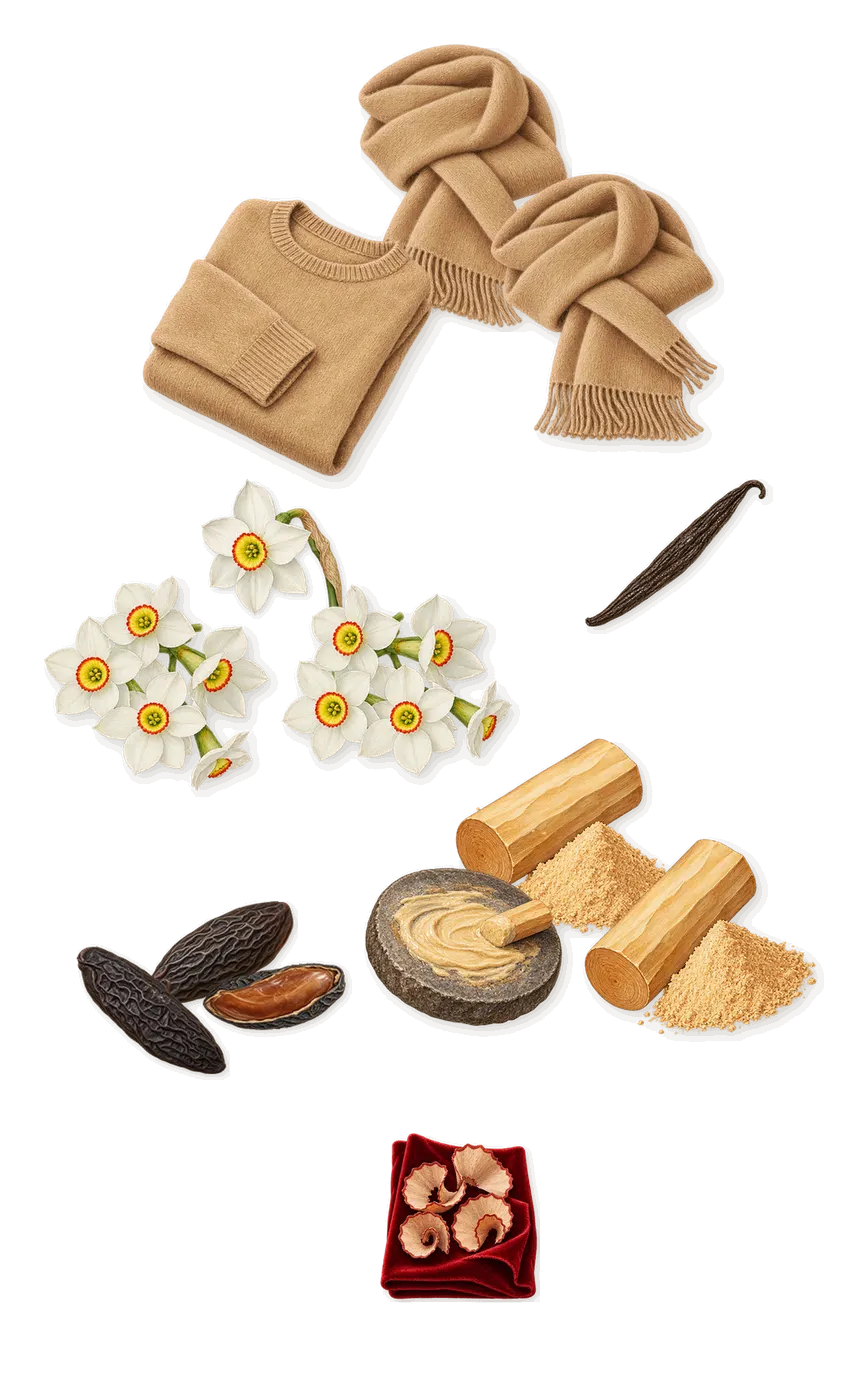 Cassiopea, what stays: Sandalwood, Tonka (coumarin), Musk, Narcissus, Iso E Super (pencil shavings on velvet), Vanillin (vanilla)