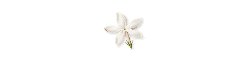Azure Lime, as it settles: Jasmine