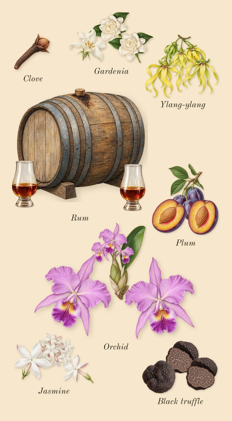 Black Orchid, heart: Black truffle, Ylang-ylang, Orchid, Plum, Rum, Jasmine, Gardenia, Clove