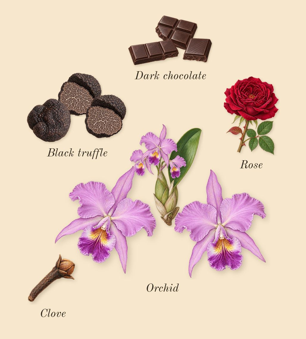 Black Orchid Reserve, heart: Orchid, Black truffle, Dark chocolate, Clove, Rose