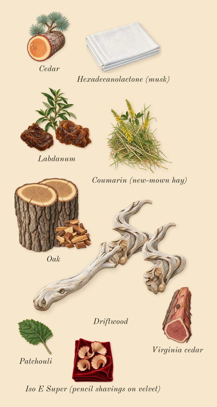 Costa Azzurra, dry-down: Oak, Driftwood, Labdanum, Cedar, Patchouli, Virginia cedar, Iso E Super (pencil shavings on velvet), Coumarin (new-mown hay), Hexadecanolactone (musk)