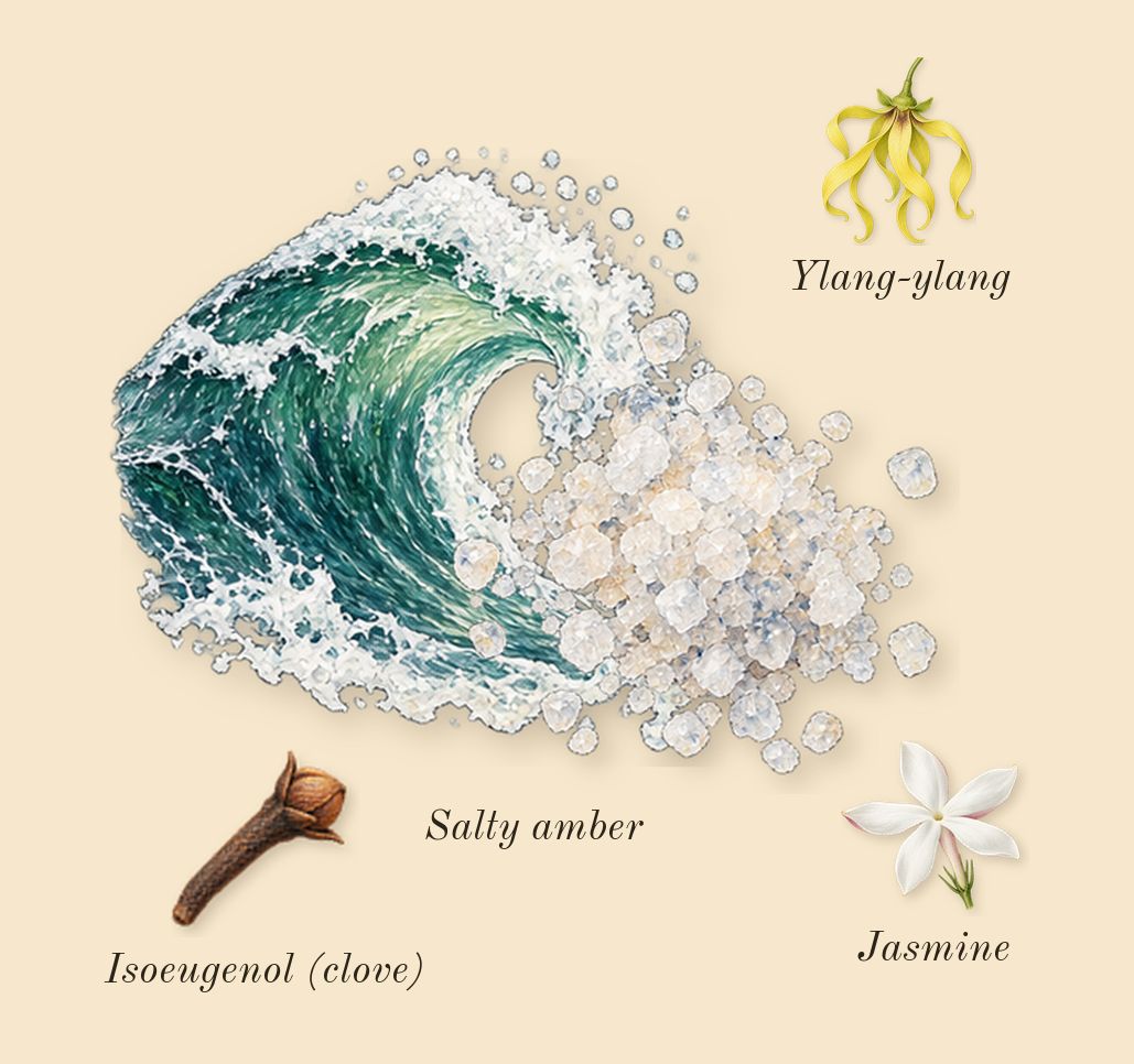 Costa Azzurra, heart: Salty amber, Ylang-ylang, Jasmine, Isoeugenol (clove)