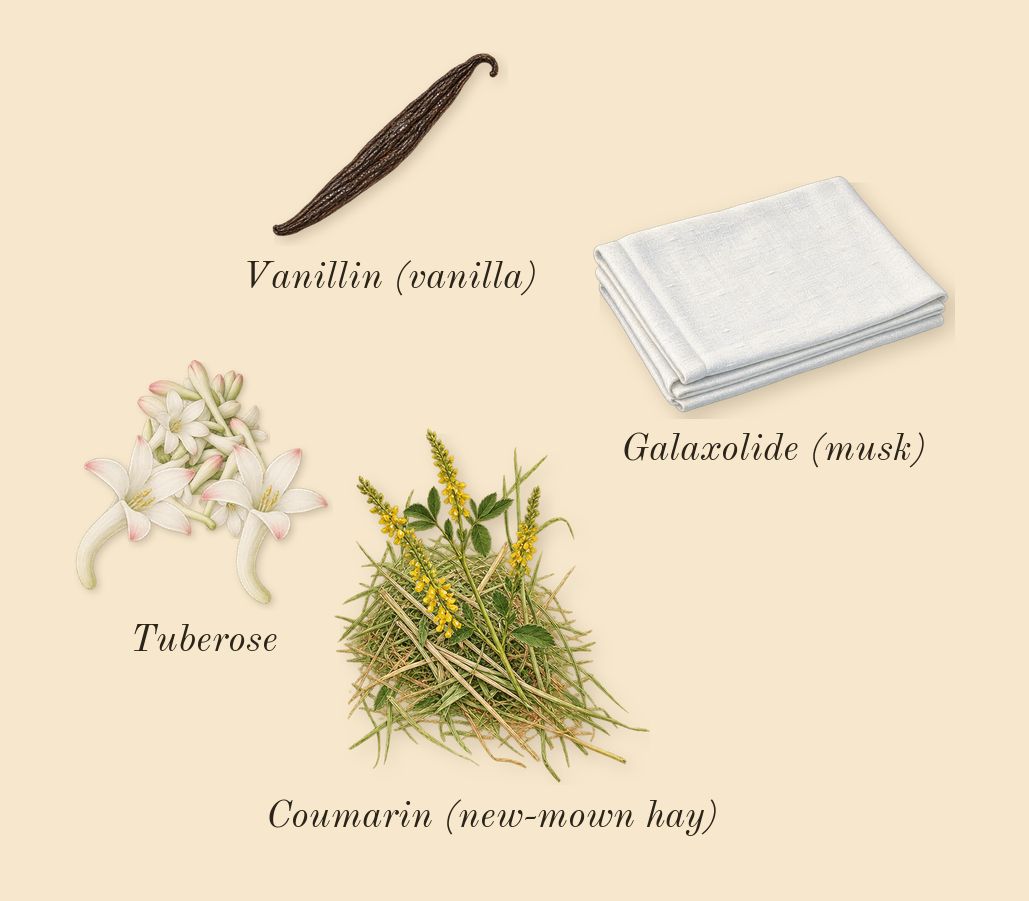 Eau de Soleil Blanc, dry-down: Tuberose, Galaxolide (musk), Coumarin (new-mown hay), Vanillin (vanilla)