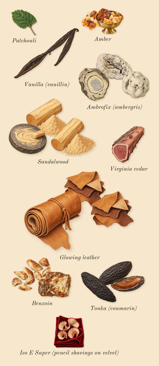Eau d'Ombré Leather, dry-down: Glowing leather, Ambrofix (ambergris), Vanilla (vanillin), Benzoin, Tonka (coumarin), Sandalwood, Amber, Virginia cedar, Patchouli, Iso E Super (pencil shavings on velvet)