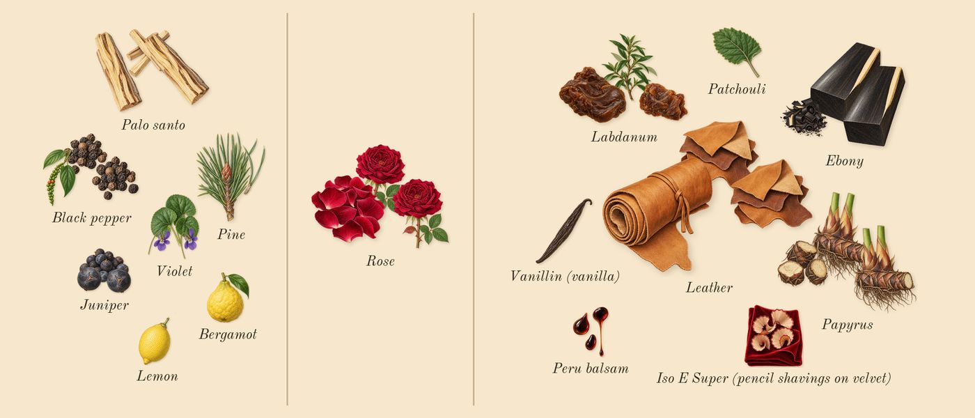 Ébène Fumé’s scent picture, a draft: palo santo, ebony, black pepper, labdanum, pine, leather drawn so far; dashed outlines where nothing is drawn yet