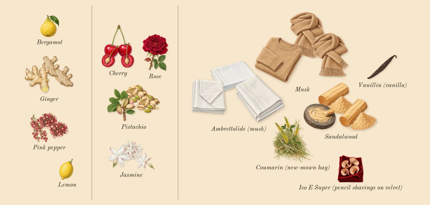 Electric Cherry’s scent picture, a draft: cherry, pistachio, ginger, jasmine, sandalwood, ambrettolide (musk) drawn so far; dashed outlines where nothing is drawn yet