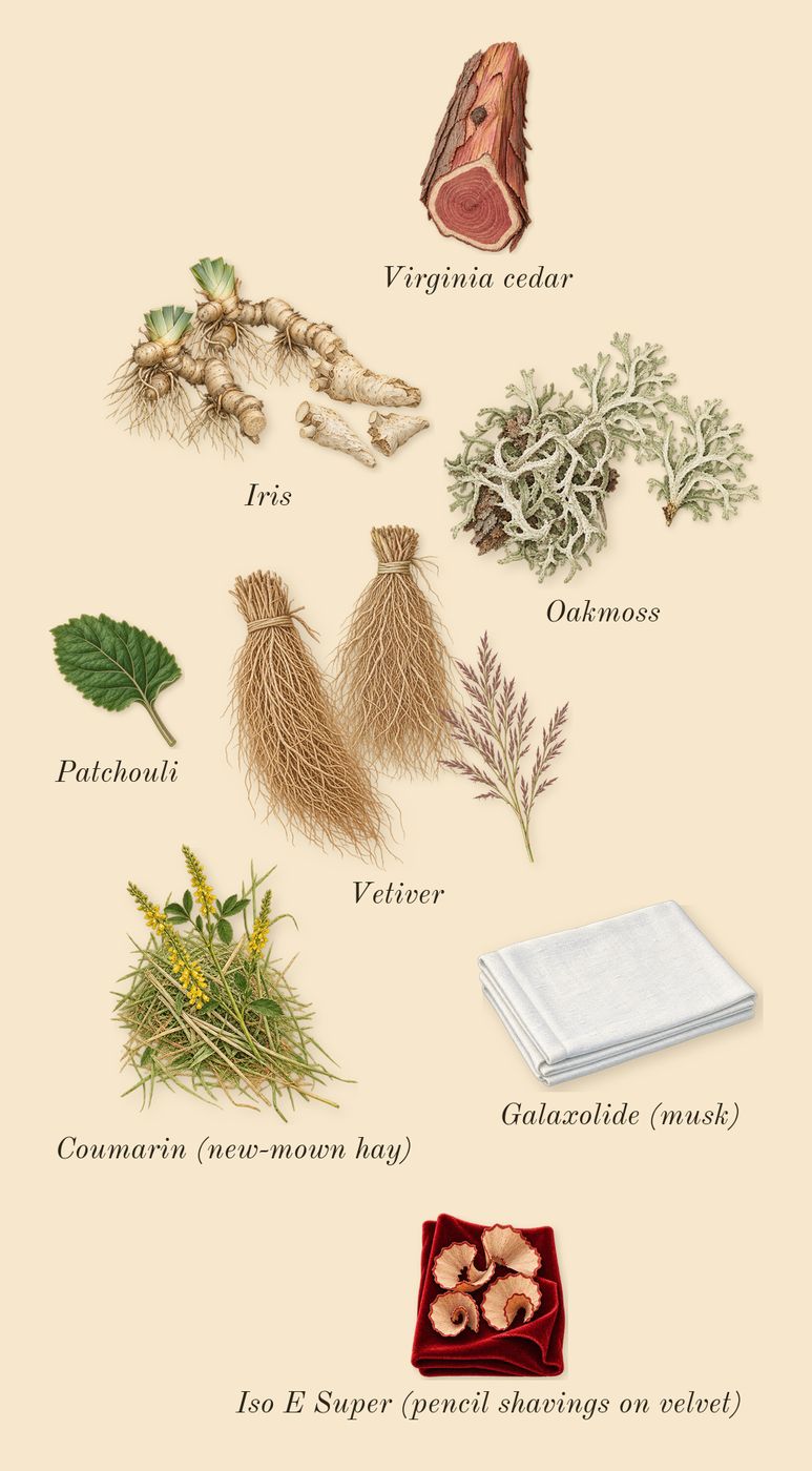 Grey Vetiver, dry-down: Vetiver, Oakmoss, Iris, Virginia cedar, Patchouli, Iso E Super (pencil shavings on velvet), Coumarin (new-mown hay), Galaxolide (musk)