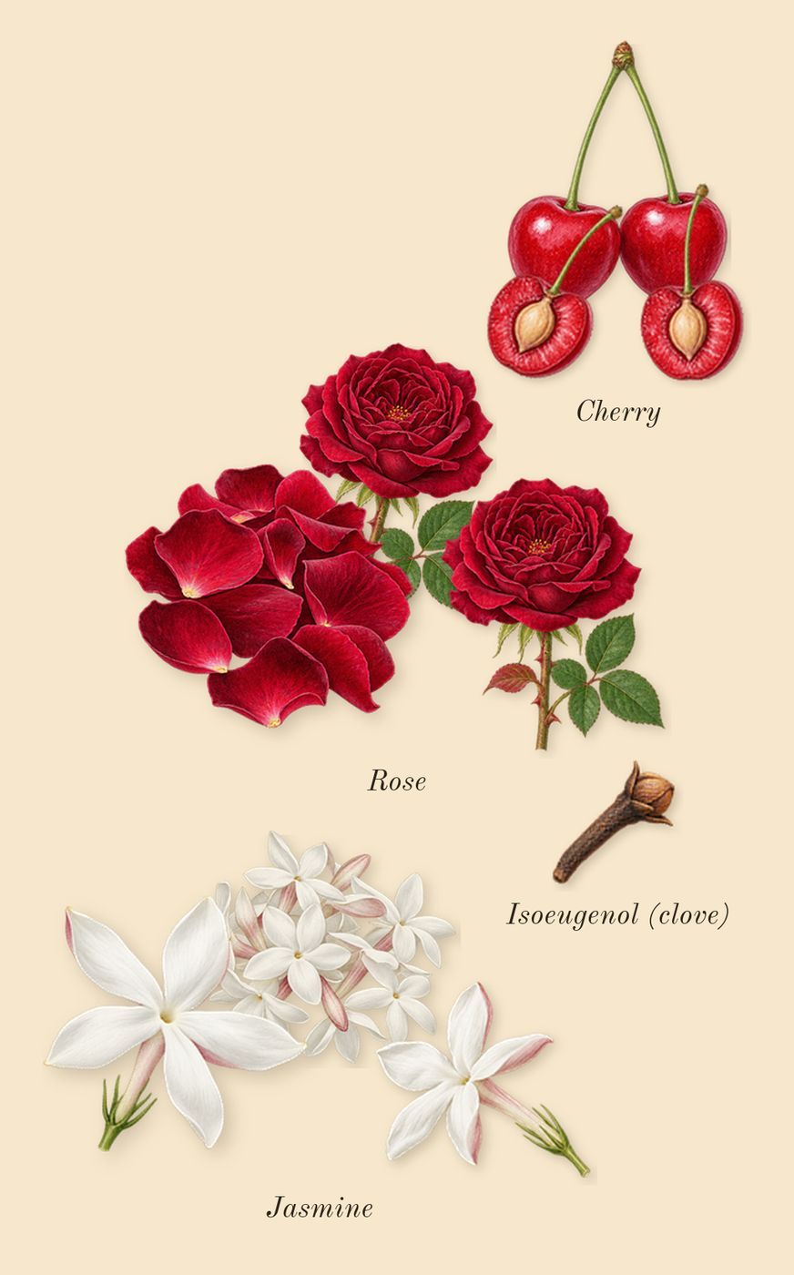 Lost Cherry, heart: Cherry, Rose, Jasmine, Isoeugenol (clove)