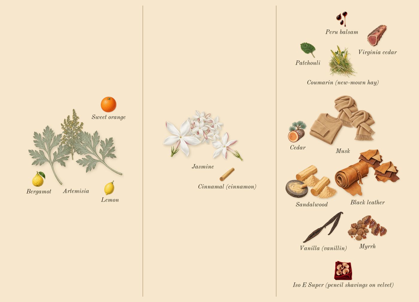 Myrrhe Mystère’s scent picture, a draft: myrrh, artemisia, sandalwood, jasmine, vanilla (vanillin), black leather drawn so far; dashed outlines where nothing is drawn yet