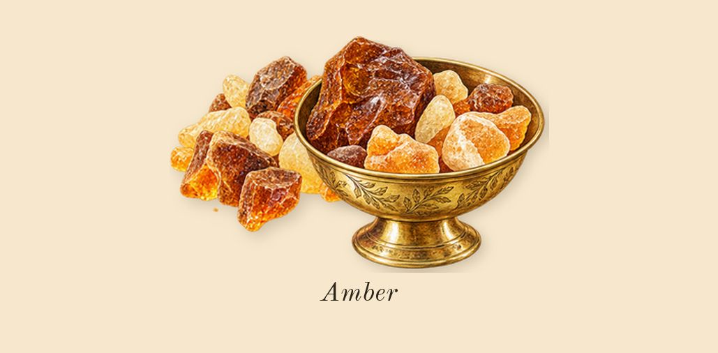 Neroli Portofino, dry-down: Amber
