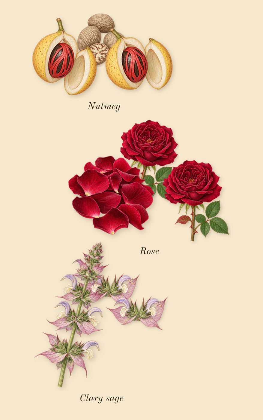 Noir, heart: Nutmeg, Rose, Clary sage