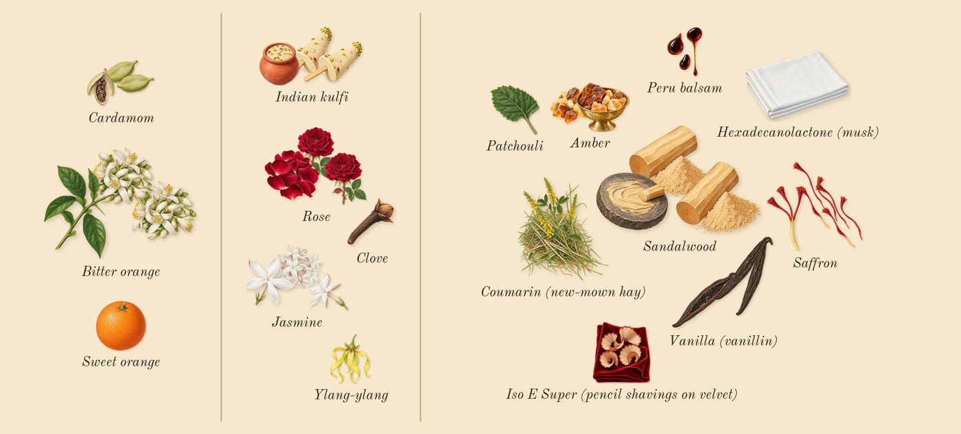 Noir Extreme’s scent picture, a draft: bitter orange, saffron, indian kulfi, rose, sandalwood, vanilla (vanillin) drawn so far; dashed outlines where nothing is drawn yet