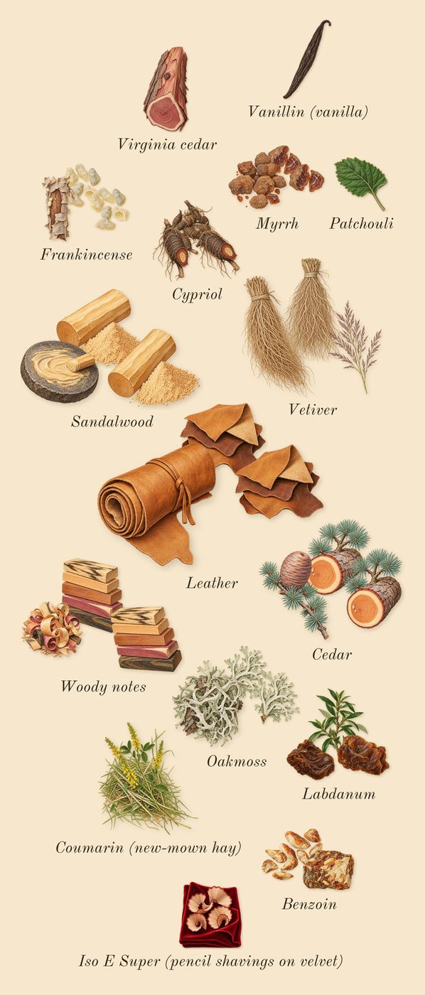 Ombré Leather Reserve, dry-down: Leather, Sandalwood, Woody notes, Oakmoss, Myrrh, Vetiver, Frankincense, Cypriol, Labdanum, Cedar, Benzoin, Patchouli, Virginia cedar, Vanillin (vanilla), Iso E Super (pencil shavings on velvet), Coumarin (new-mown hay)