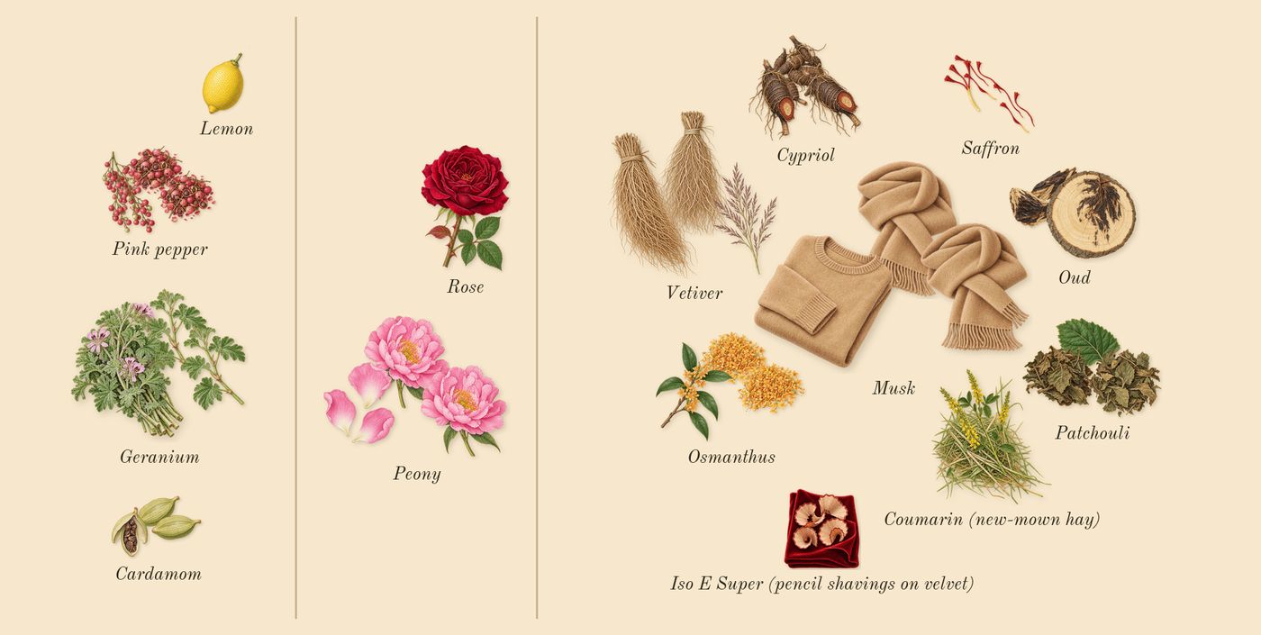 Oud Voyager’s scent picture, a draft: geranium, peony, oud, cypriol, osmanthus, cardamom drawn so far; dashed outlines where nothing is drawn yet