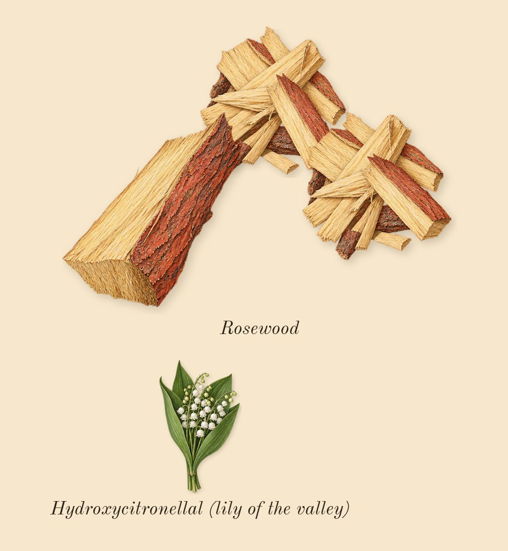 Oud Wood, heart: Rosewood, Hydroxycitronellal (lily of the valley)