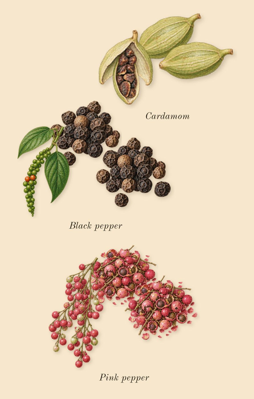 Oud Wood, top notes: Cardamom, Pink pepper, Black pepper