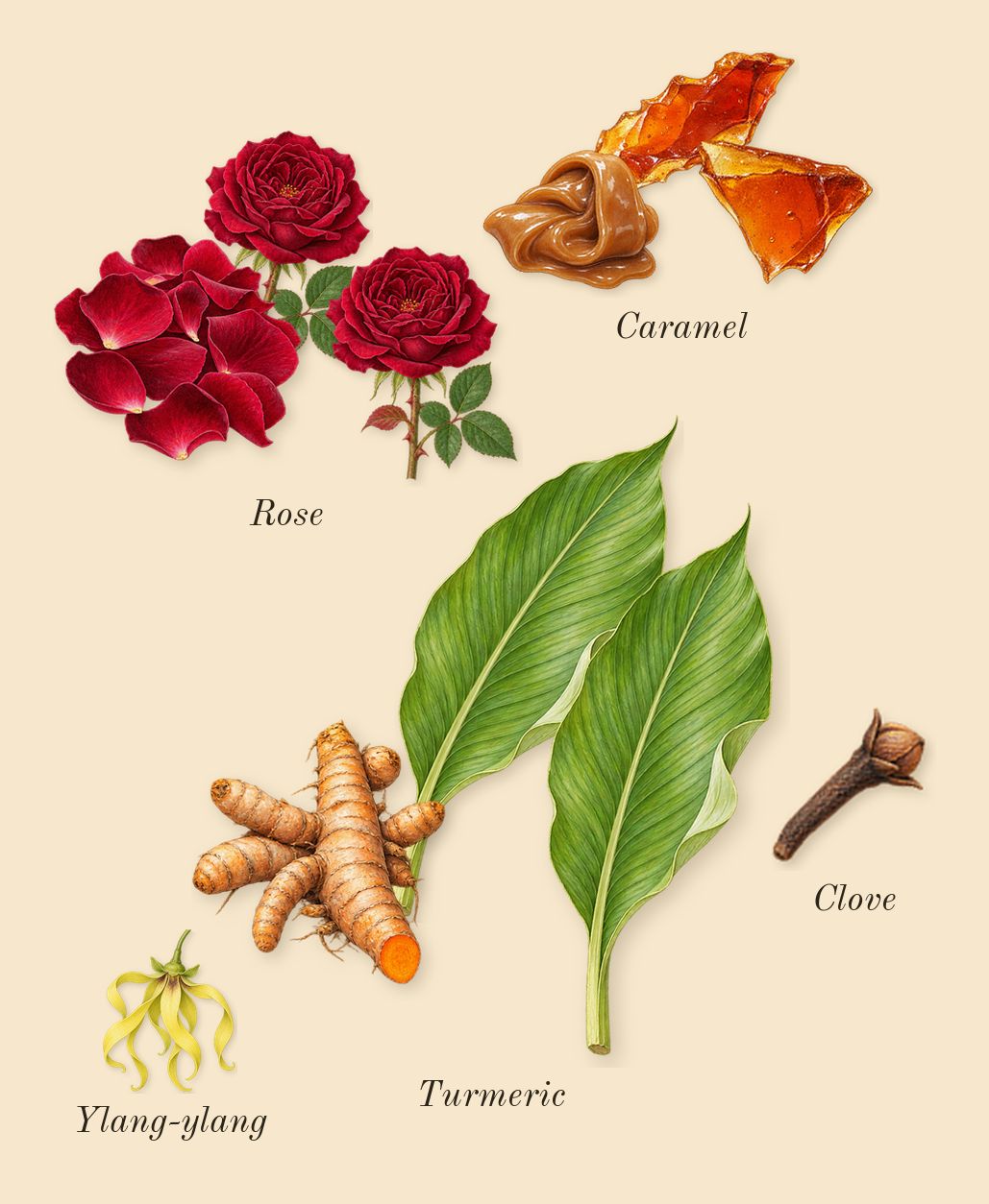 Rose Prick, heart: Rose, Turmeric, Caramel, Ylang-ylang, Clove