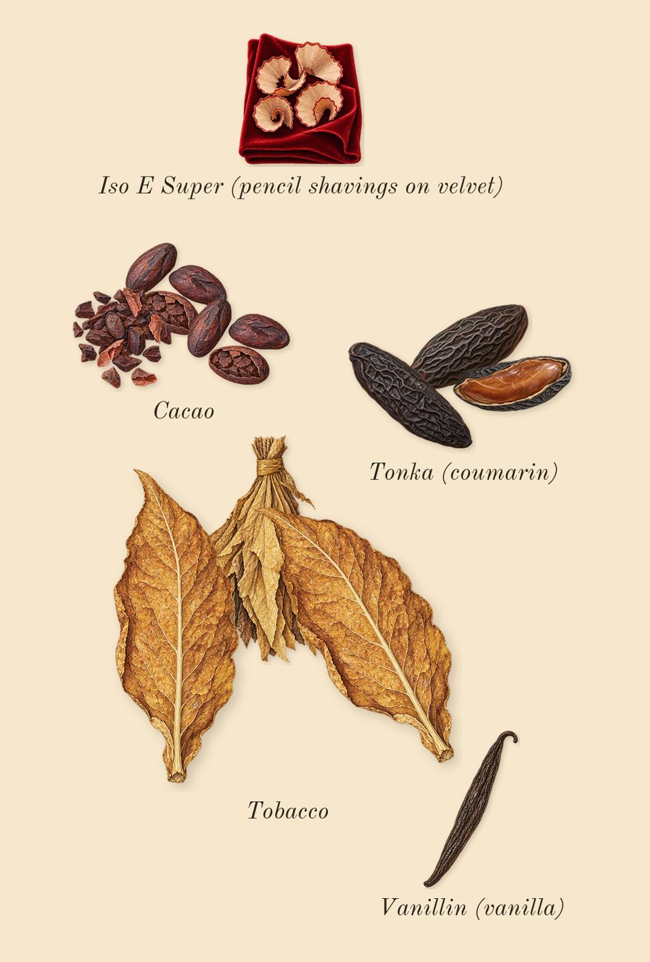 Tobacco Vanille, dry-down: Tobacco, Tonka (coumarin), Cacao, Iso E Super (pencil shavings on velvet), Vanillin (vanilla)