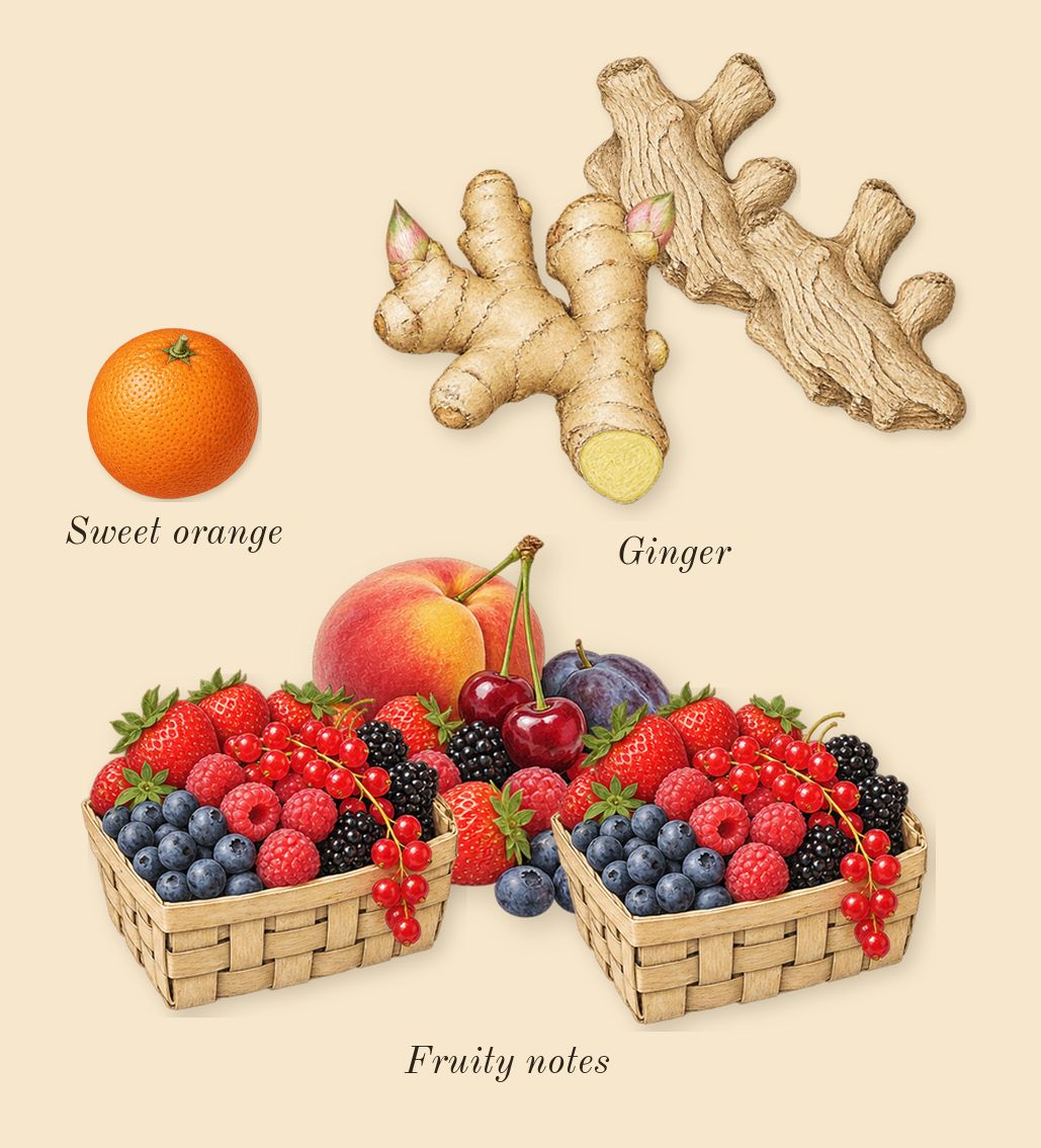Tobacco Vanille, top notes: Ginger, Fruity notes, Sweet orange