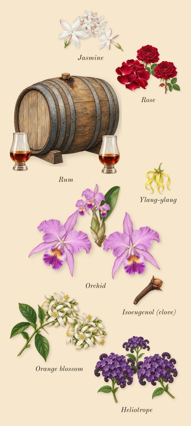 Velvet Orchid, heart: Orchid, Jasmine, Rum, Orange blossom, Rose, Heliotrope, Ylang-ylang, Isoeugenol (clove)