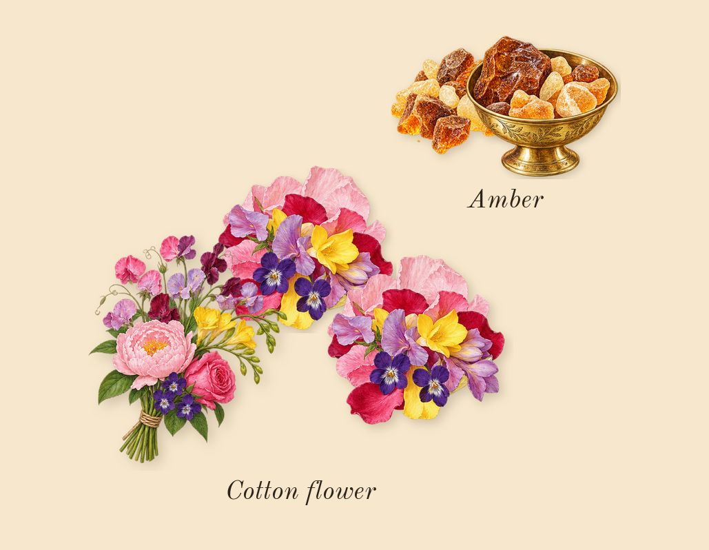 Tommy, dry-down: Amber, Cotton flower