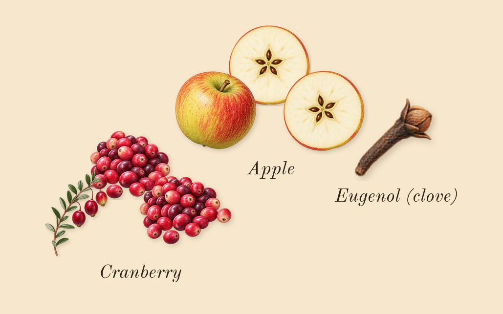 Tommy, heart: Apple, Cranberry, Eugenol (clove)