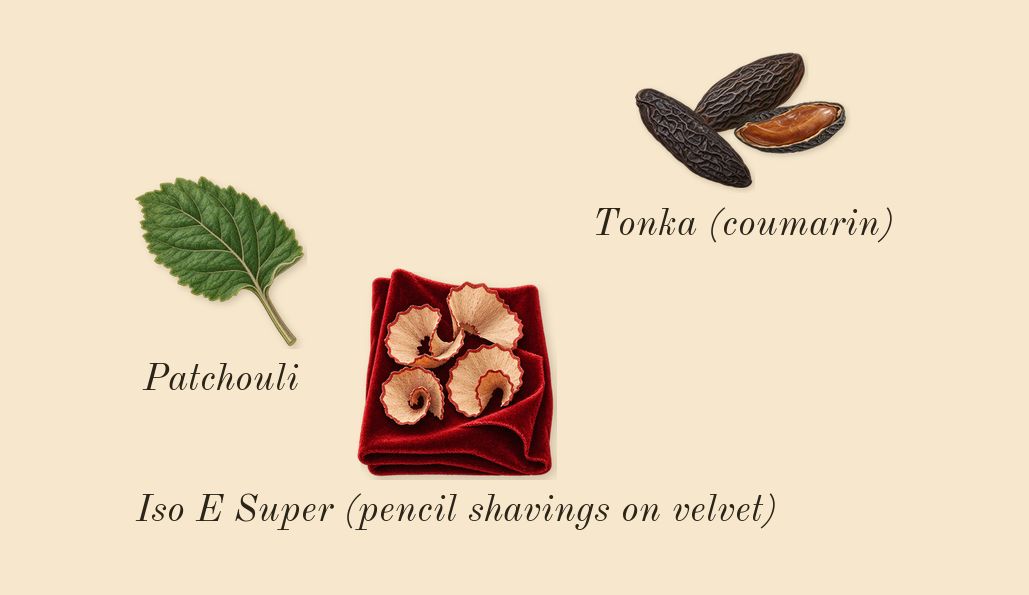 Tonka Misfah, dry-down: Tonka (coumarin), Patchouli, Iso E Super (pencil shavings on velvet)