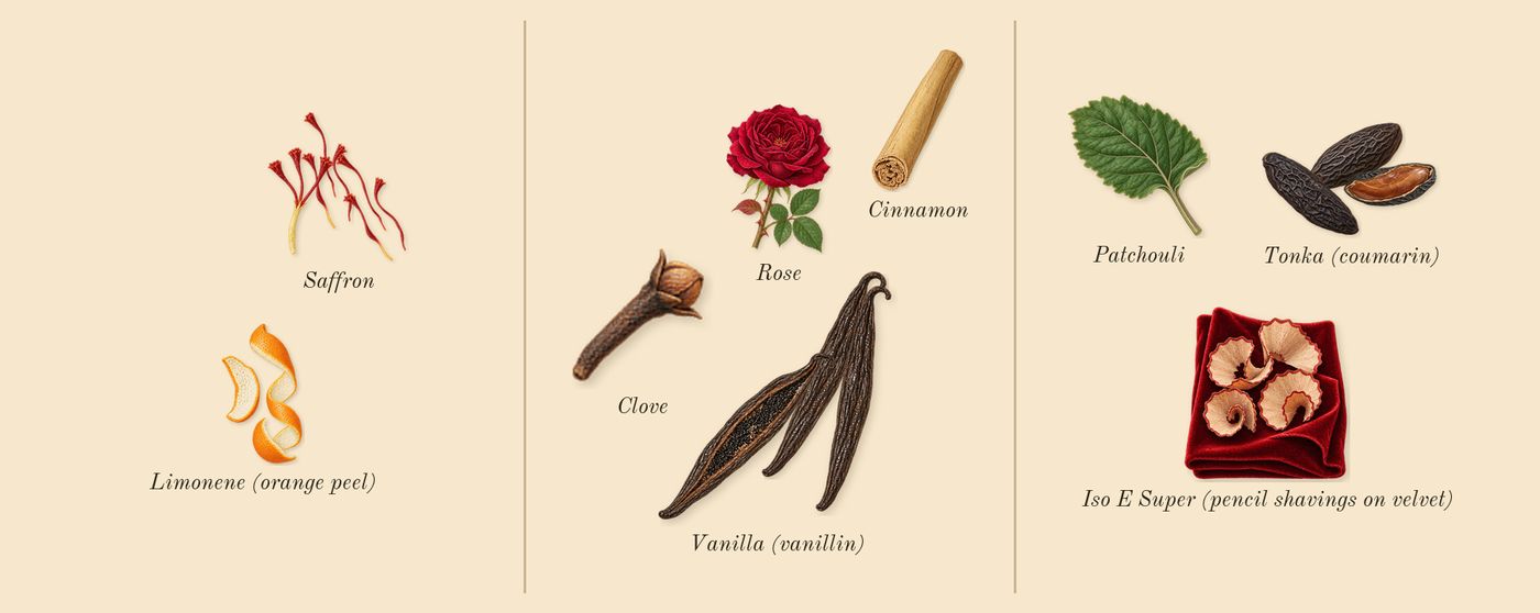 Tonka Misfah’s scent picture, a draft: saffron, vanilla (vanillin), tonka (coumarin), patchouli, clove, cinnamon drawn so far; dashed outlines where nothing is drawn yet