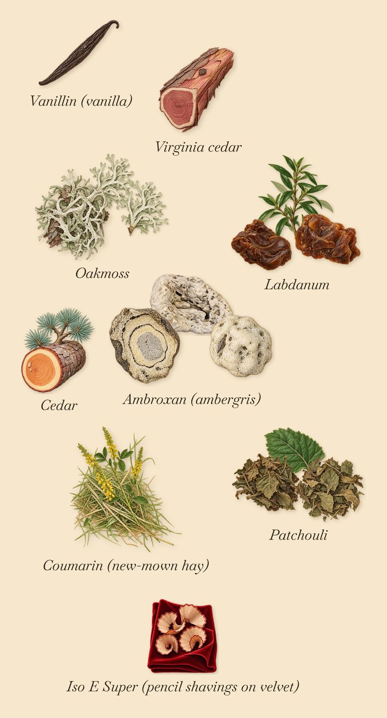 Carmen, what stays: Ambroxan (ambergris), Labdanum, Oakmoss, Patchouli, Virginia cedar, Cedar, Vanillin (vanilla), Iso E Super (pencil shavings on velvet), Coumarin (new-mown hay)