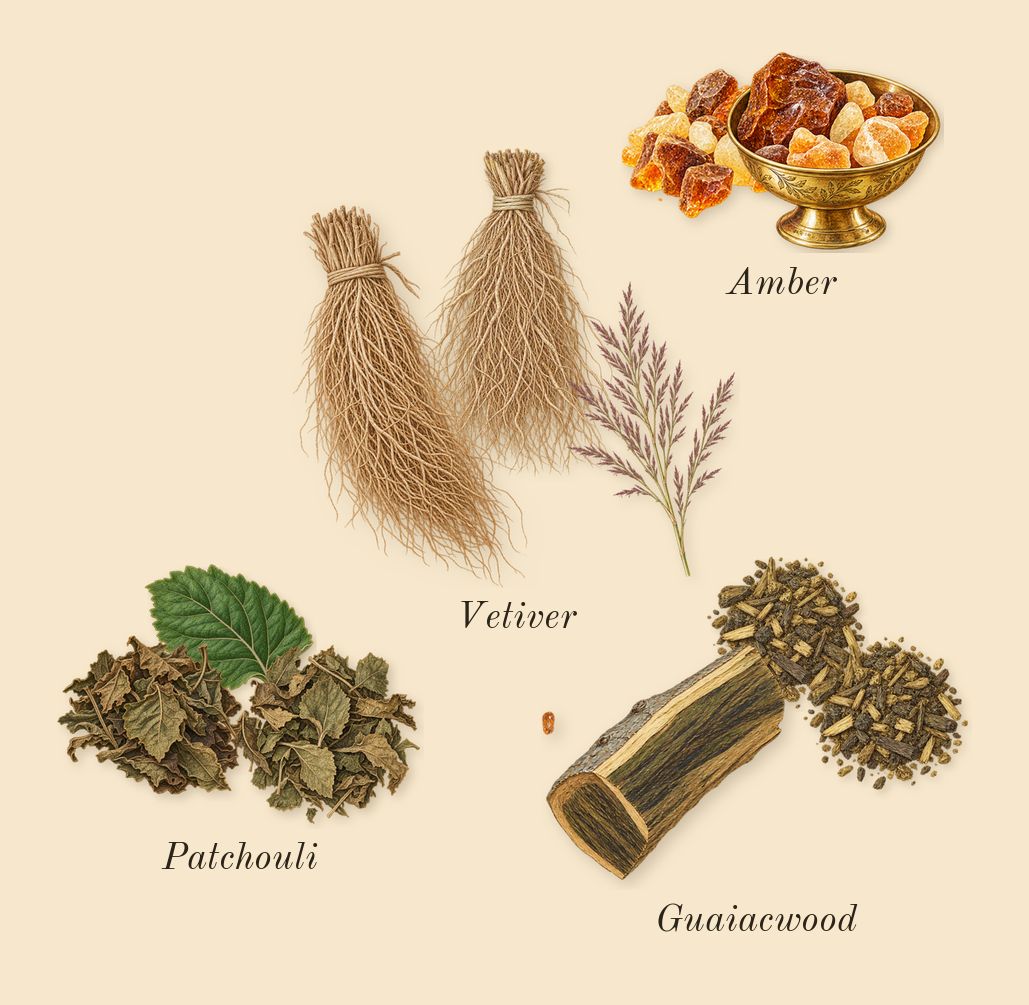 Sage's Rose, dry-down: Guaiacwood, Vetiver, Amber, Patchouli