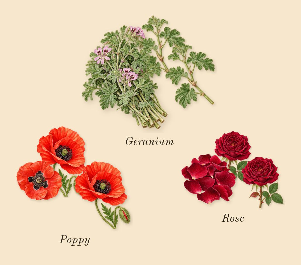 Sage's Rose, heart: Rose, Geranium, Poppy